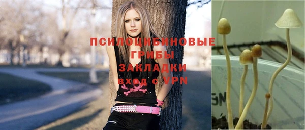 ECSTASY Баксан