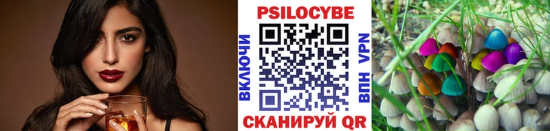 Псилоцибиновые грибы мицелий купить закладку Заречный